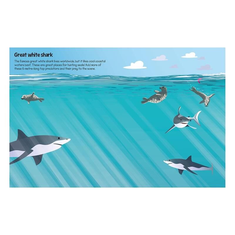 555 Sticker Fun - Sharks